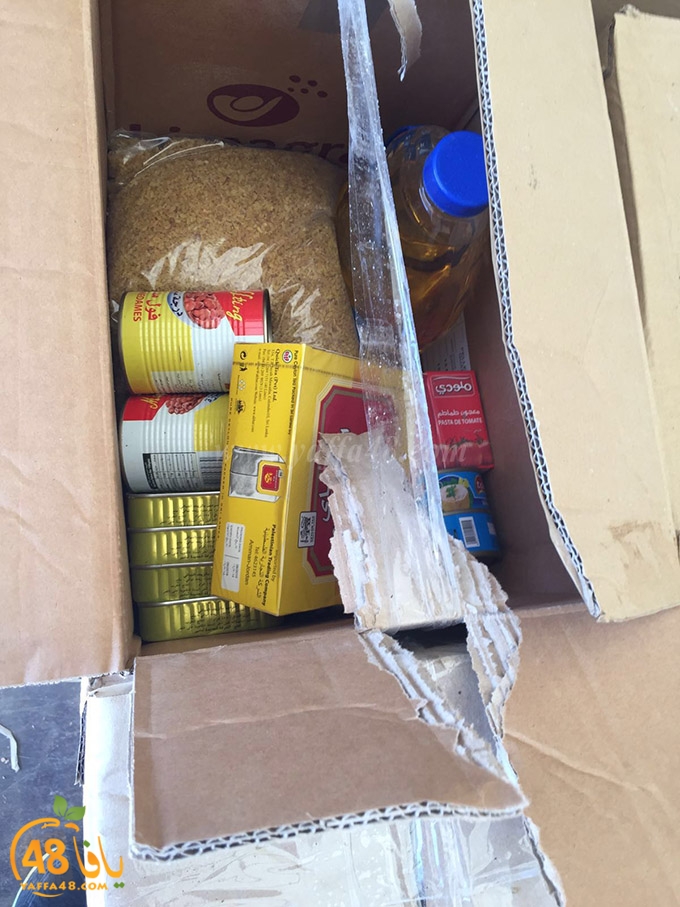 syrian torod (14).jpg